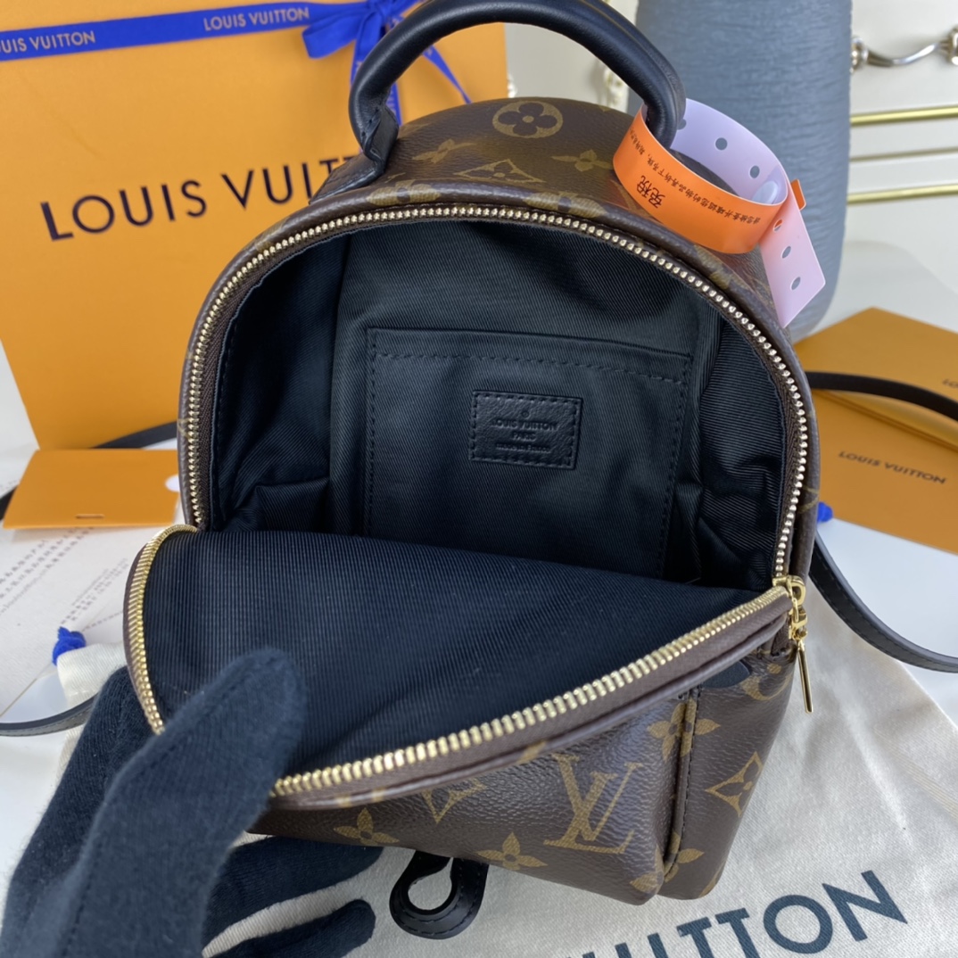 Louis Vuitton PALM SPRINGS PM Backpack Monogram M44871